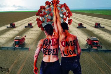 Combine harvesters crop soybeans during a demonstration for the press, in Campo Novo do Parecis, about 400km northwest from the capital city of Cuiaba, in Mato Grosso, Brazil, on March 27, 2012. AFP PHOTO/Yasuyoshi CHIBA / AFP PHOTO / YASUYOSHI CHIBA